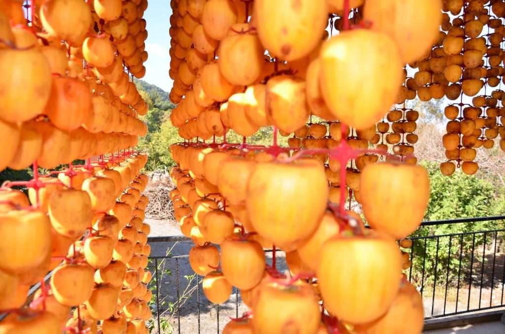 Denizli, Çok Aranan Bu Meyvenin Merkezlerinden Biri Haline Geldi...