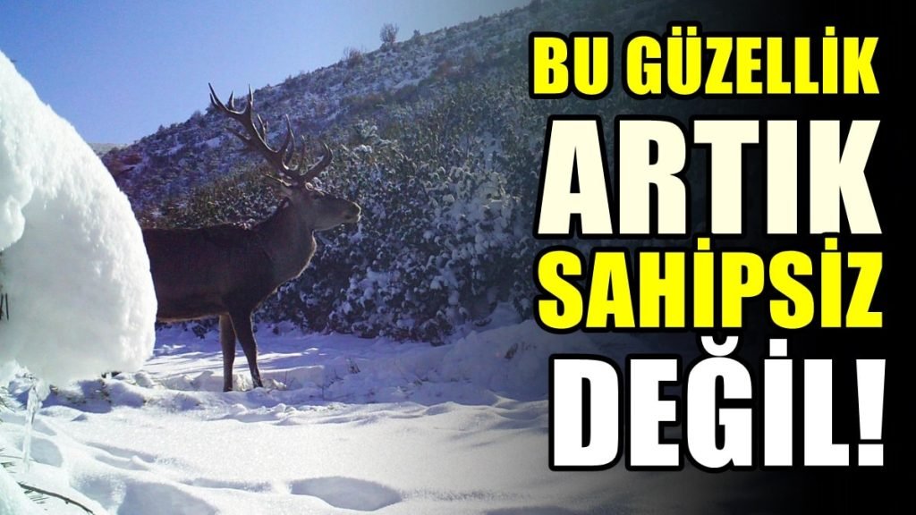 Çivrilliler, Akdağ'ın Milli Park Alanı Olarak İlan Edilmesini Sevinçle Karşıladı...