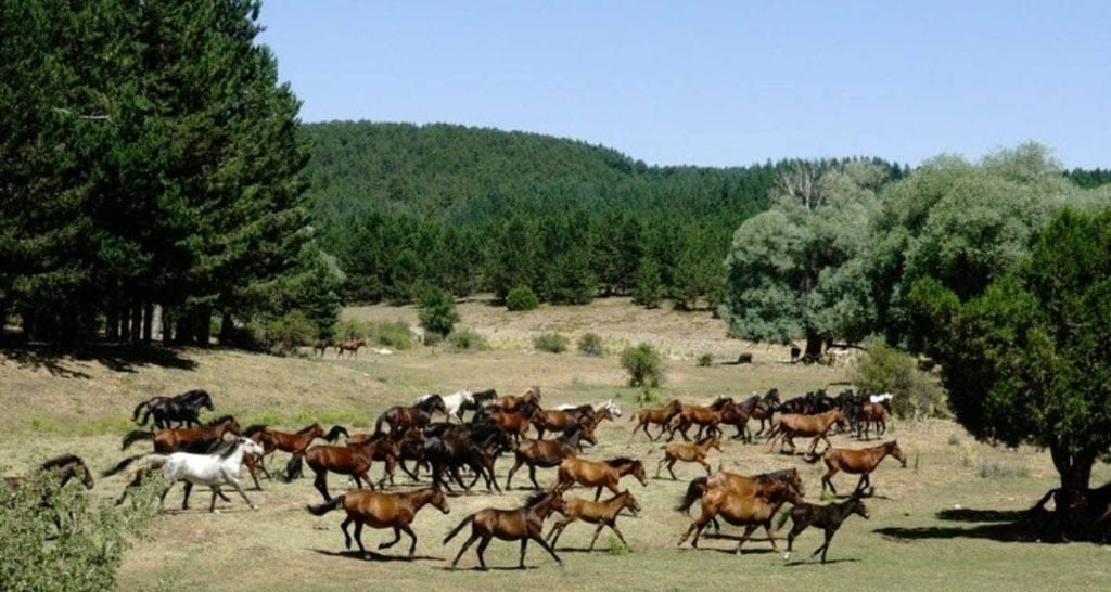 Çivrilliler, Akdağ'ın Milli Park Alanı Olarak İlan Edilmesini Sevinçle Karşıladı...
