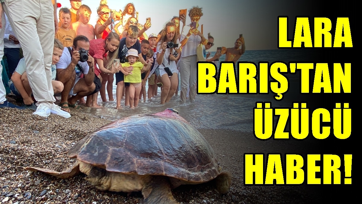 1.5 Yılda 4 Bin Kilometre Kat Eden Lara Barış’tan Haber Alınamıyor…