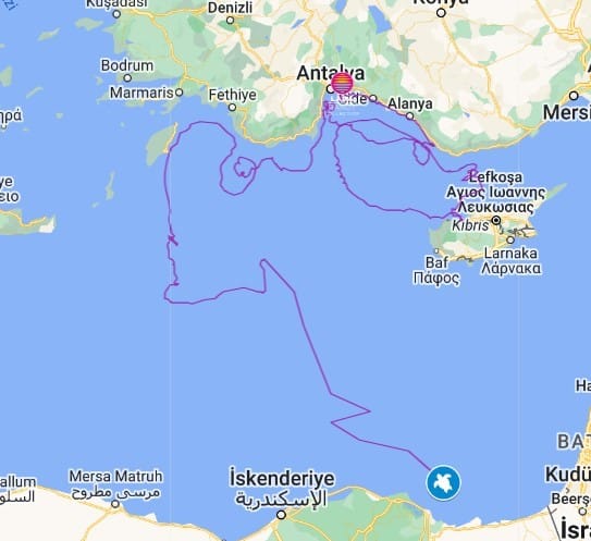 1.5 Yılda 4 Bin Kilometre Kat Eden Lara Barış'tan Haber Alınamıyor...