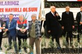 Çal ve Çameli’ye, Büyükşehirden Zeytin Fidanı Desteği…