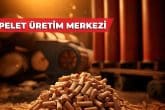 Pelet Üretim Merkezi İle Hem Tasarruf Sağlanacak Hem Gelir Elde Edilecek…