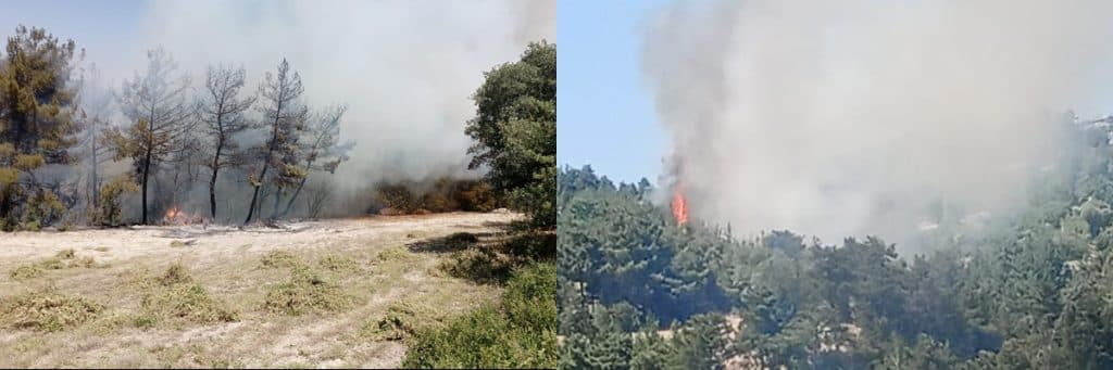 Denizli Buldan'da Orman Yangını Başladı...