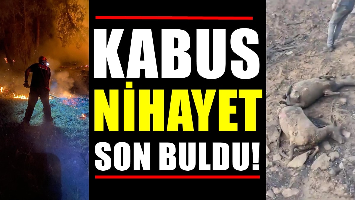 Denizli’deki Yangın Felaketi 12 Saat Sonra Kontrol Altına Alınabildi…