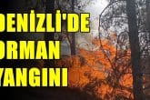 Denizli'de Orman Yangın, Yerleşim Yerlerini Tehdit Ediyor...