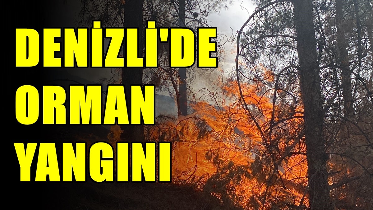Denizli’de Orman Yangın, Yerleşim Yerlerini Tehdit Ediyor…