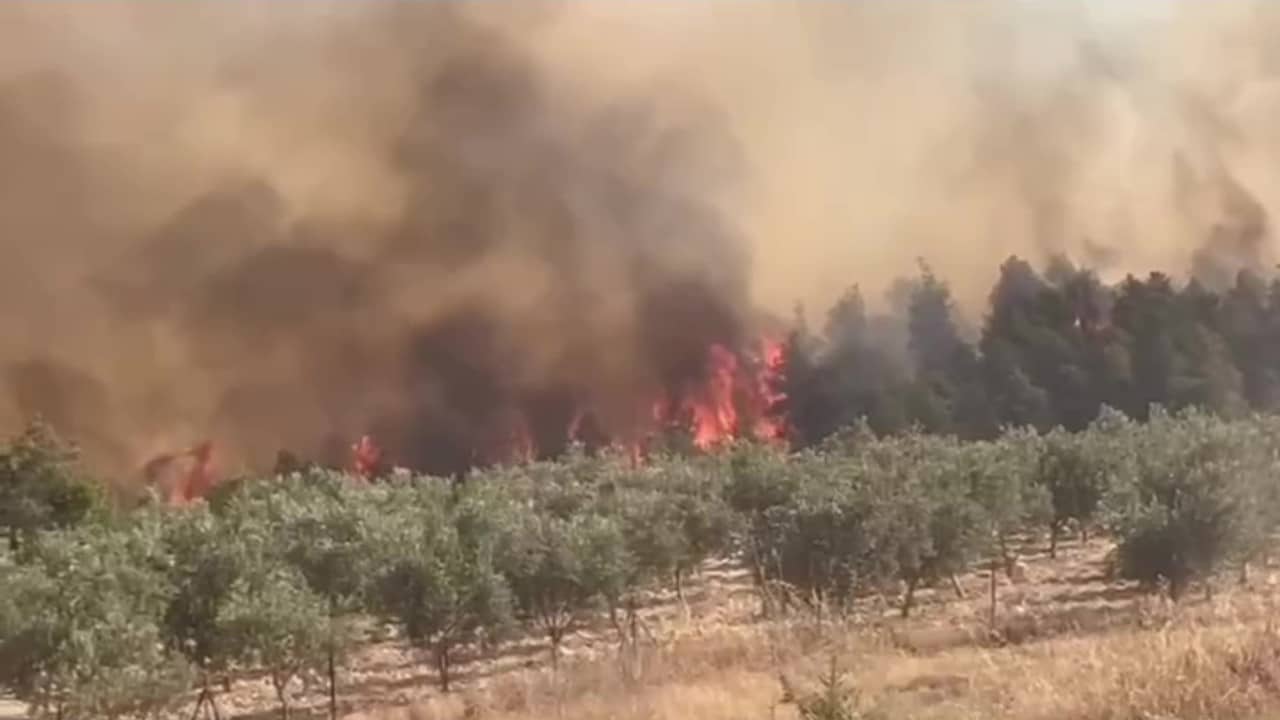 Denizli Pamukkale’de Orman Yangını Kontrol Altına Alındı…