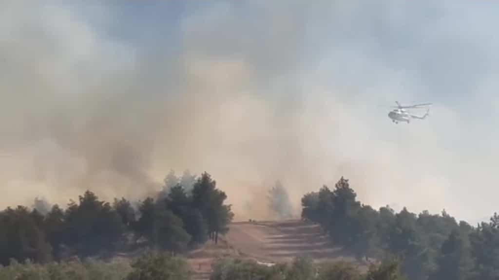 Denizli Pamukkale'de Orman Yangını Devam Ediyor...