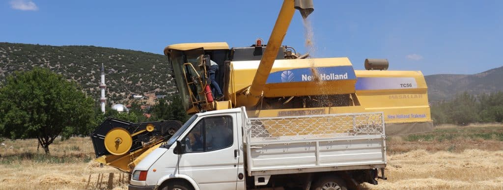 Denizlili Çiftçiler, Kuraklık Yüzünden Yarıya Düşen Rekolte Nedeniyle Mutsuz...