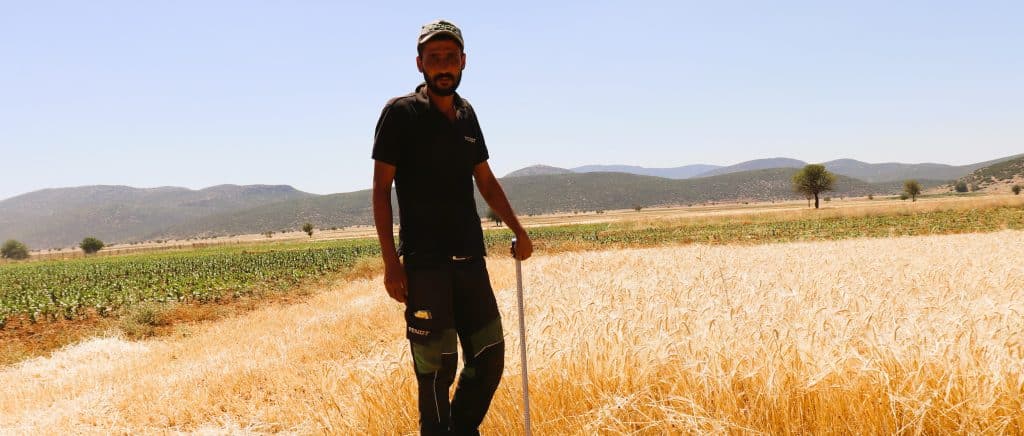 Denizlili Çiftçiler, Kuraklık Yüzünden Yarıya Düşen Rekolte Nedeniyle Mutsuz...