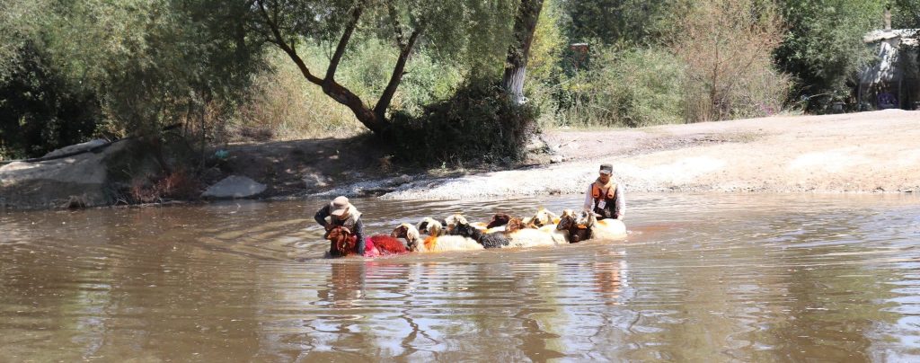 Denizli’nin Asırlık Yarışması 851. Kez Düzenlendi... 