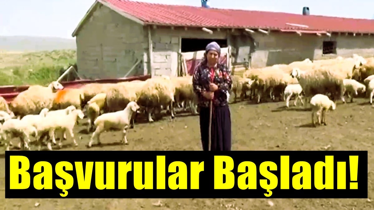 Denizli Honaz Belediyesi’nden Kadın Üreticilere Koyun Desteği…