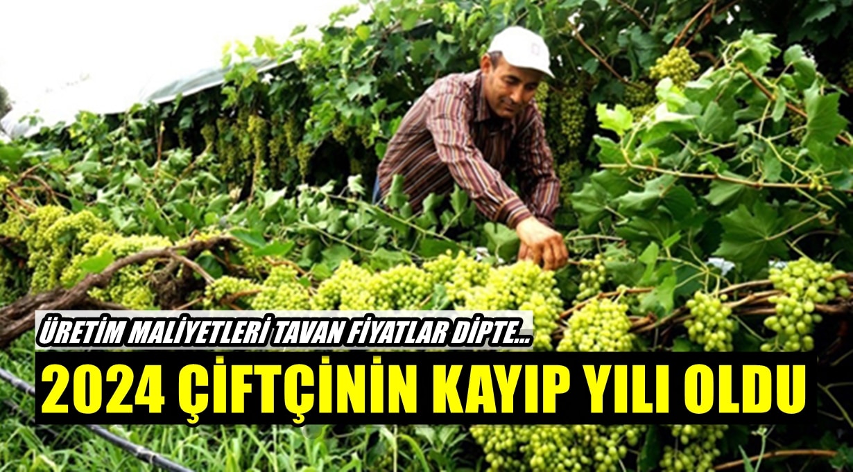 Denizli’de Çiftçi Borçlu, Tüketici Dertli…