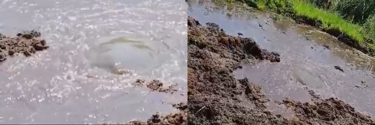 Denizli'nin Buldan ilçesinde bulunan Yayla gölünde bir süredir devam eden temizleme çalışmaları sırasında su kaynağı görüldü. Kuraklığın yaşandığı günümüzde görülen su kaynağı ilerleyen günlerde gölü beslemesi bekleniyor.

Denizli'nin Buldan ilçesinde bulunan Yayla gölünde bir süredir devam eden sazlık alanların temizleme çalışmaları sürüyor. Ekipler temizleme çalışmaları sırasında gölün kıyı bölgesinde su kaynağı buldu. Suyun göl üzerine çıkışı görünür vaziyette olduğu tespit edilirken vatandaşlar tarafından sevinçle karşılandı. Su kaynaklarının kuruduğu ve kuraklık yaşandığı günümüzde Yayla gölünde görülen su kaynağının ilerleyen günlerde gölü beslemesi bekleniyor.