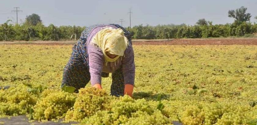 Denizli’de Çiftçi Borçlu, Tüketici Dertli
