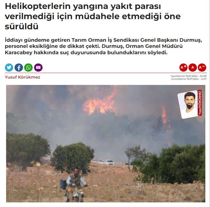 Devlet Ödüyor, Onlar Sallıyor; Olan Ormanlarımıza mı Oluyor?