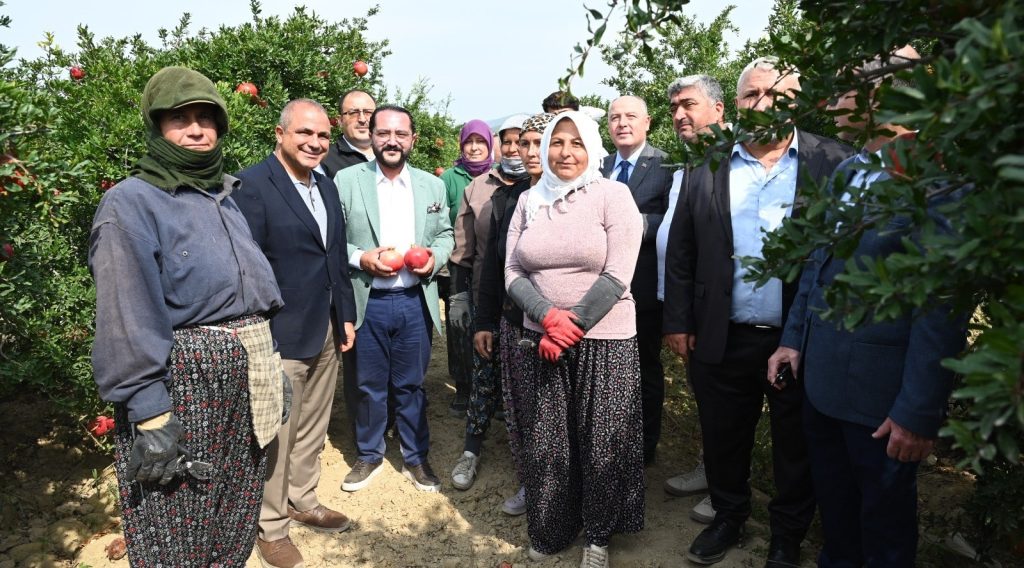 Denizli’nin Bereketli Narlarında Hasat Başladı...