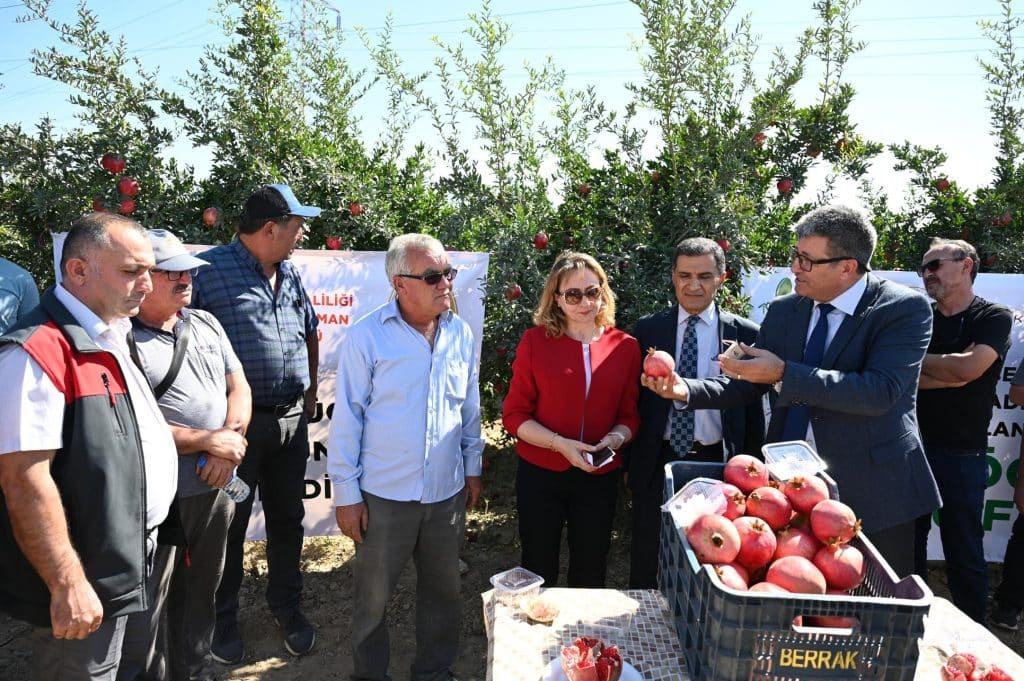 Denizli Tarımında Gıda Güvenliği İçin Akıllı Böcekler Sahada...