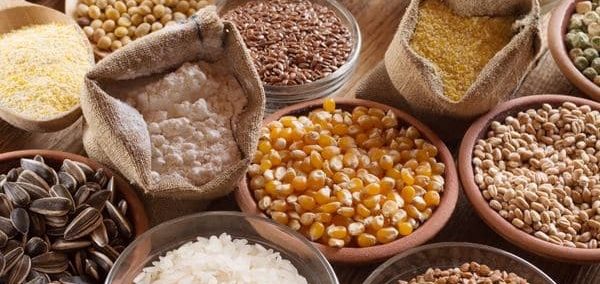 Hububat, Bakliyat ve Yağlı tohum İhracatı Güçlü Performans Gösterdi…