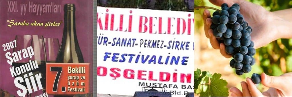 Bu Şehir ya Şarapçılığı Seçecek, ya da Sirke ve Pekmez Günleri Düzenlemeye Devam Edecek…