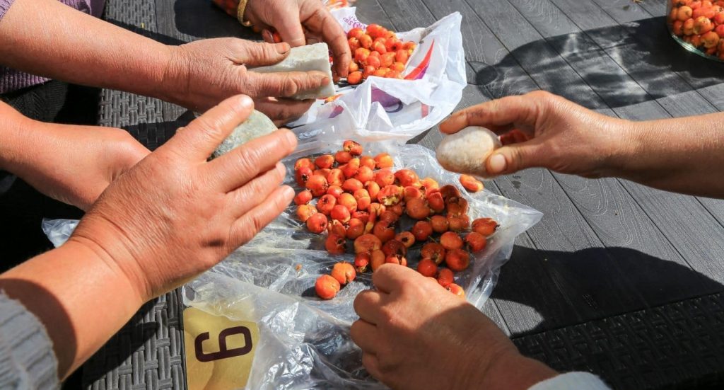 Çameli’nde Doğal Yollarla Yapılan Alıç Sirkesine Kadın Eli Değdi...