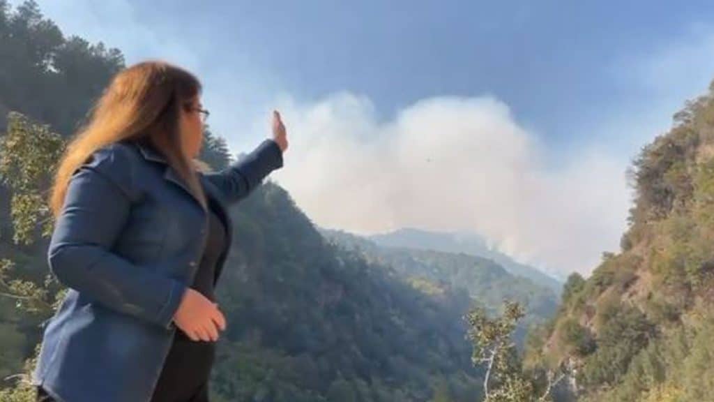 Denizli Milletvekili Karaca Yangın Bölgesinden Seslendi...