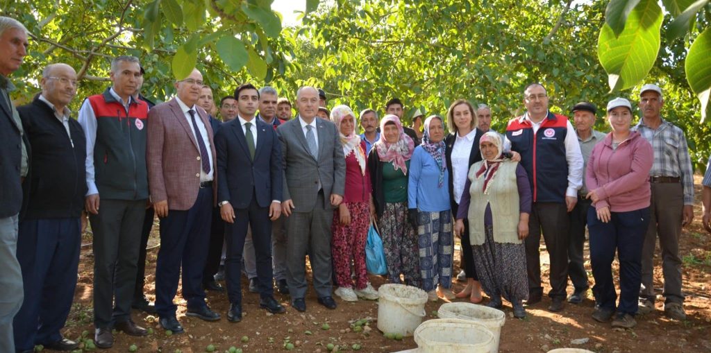 Denizli’nin Ceviz Üretiminde Yükseliş Bekleniyor...