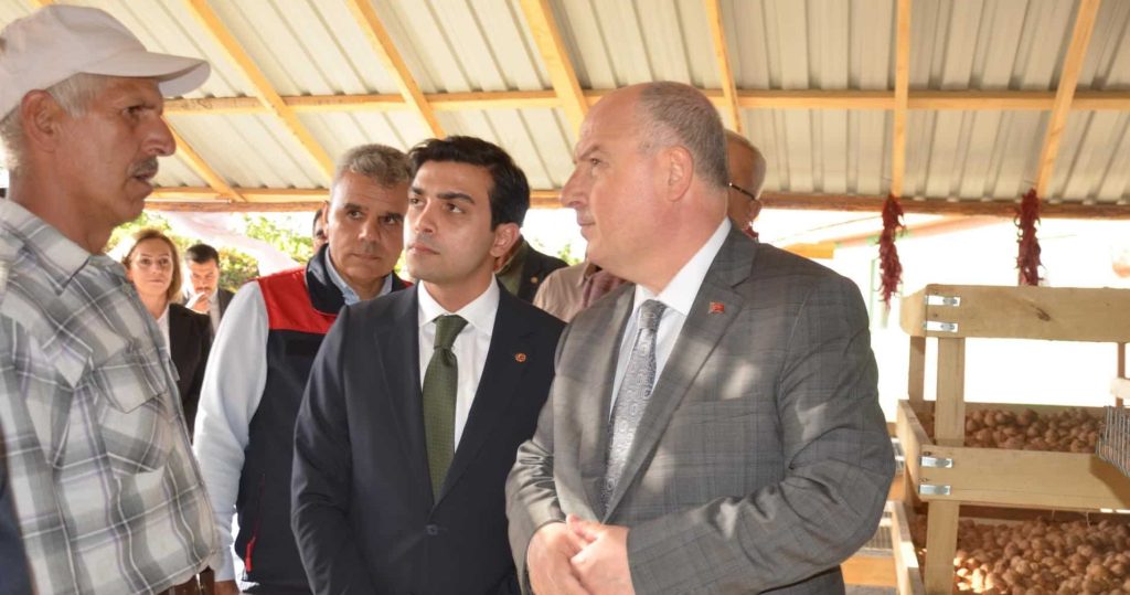 Denizli’nin Ceviz Üretiminde Yükseliş Bekleniyor...