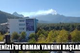 Denizli Karcıdağı'nda Başlayan Yangın Devam Ediyor...