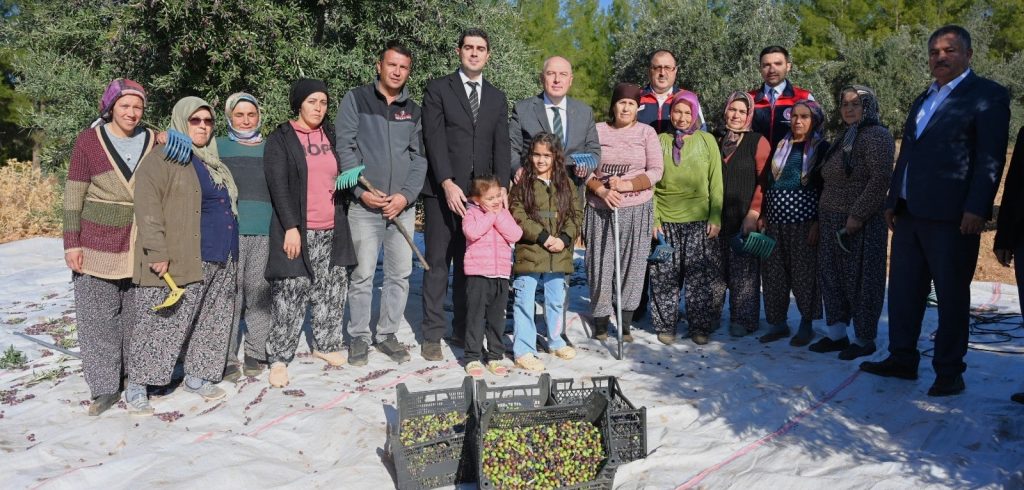 Zeytin Üretiminde Denizli, Türkiye’de 14. Ege’de 5. Sırada...