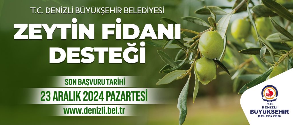 Denizli Büyükşehir’in Zeytin Fidanı Desteğinde Başvurular Uzatıldı...