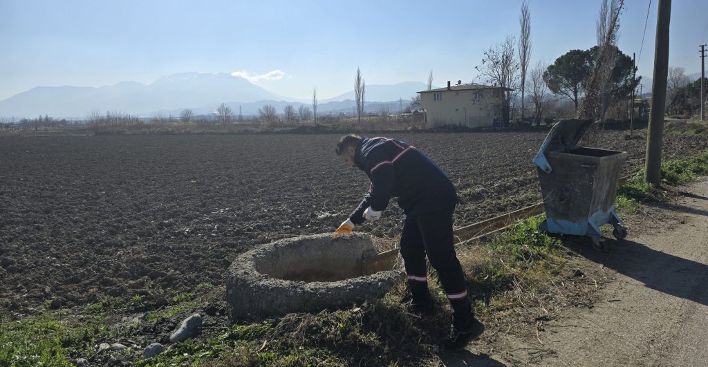 Pamukkale’de Sivrisinekle Balıklı Mücadele...