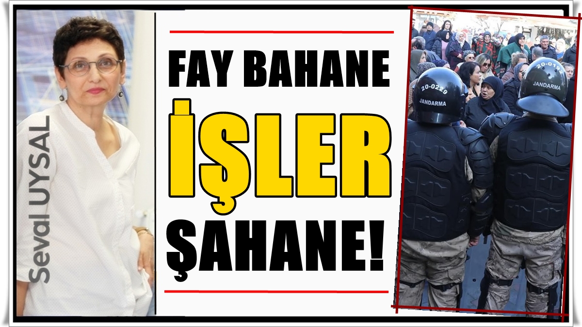 Seval Uysal Yazdı: Karahayıt’taki Bu Vebalin Sorumlusu Kimdir, Kimlerdir?