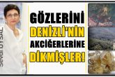 Denizli’nin Şirinköy Ormanları, Kuvarsit Madeni Arayan Şirketlerinin Hedefinde…