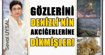 Denizli’nin Şirinköy Ormanları, Kuvarsit Madeni Arayan Şirketlerinin Hedefinde…