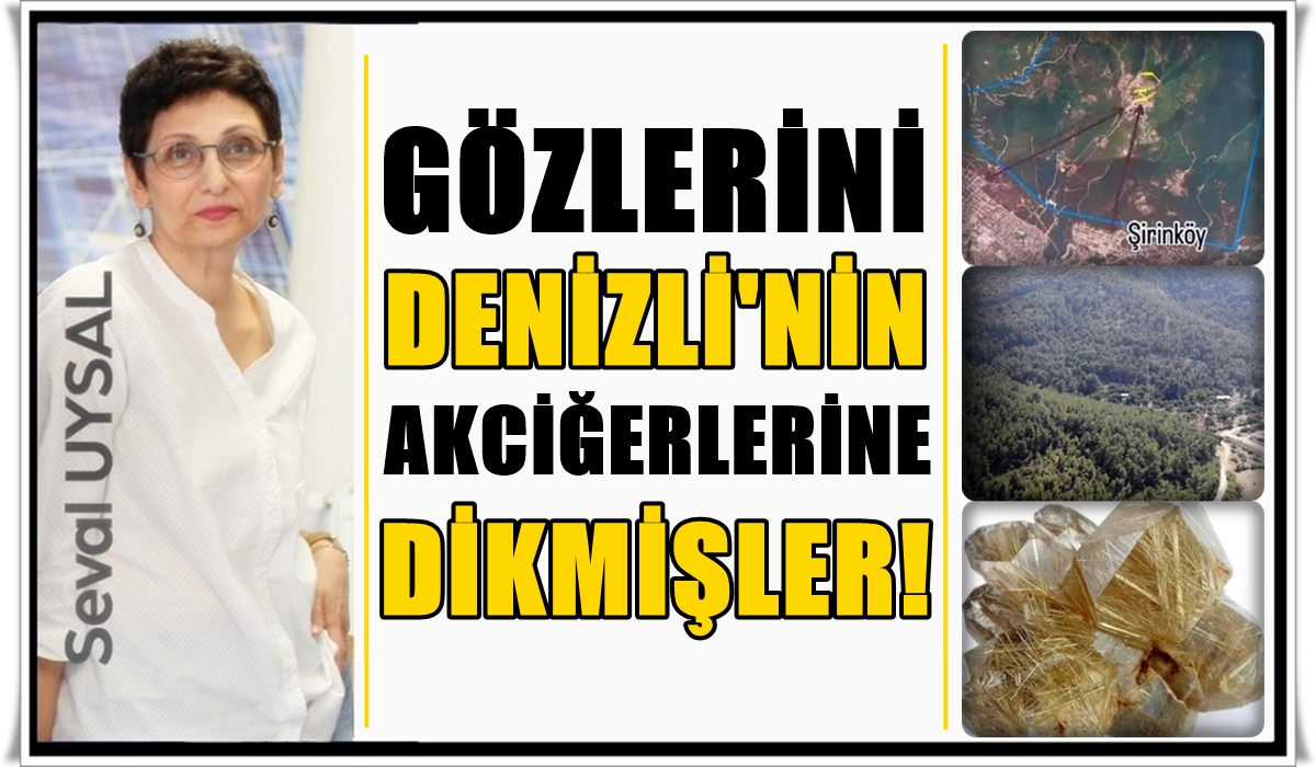 Denizli’nin Şirinköy Ormanları, Kuvarsit Arayan Şirketlerin Hedefinde…