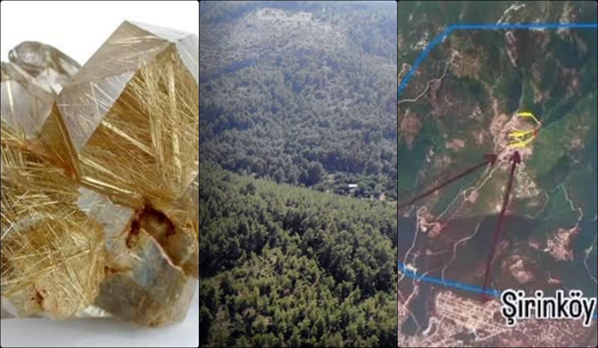 OGM Maden İddialarını Yalanladı: Talep Oldu Fakat… 