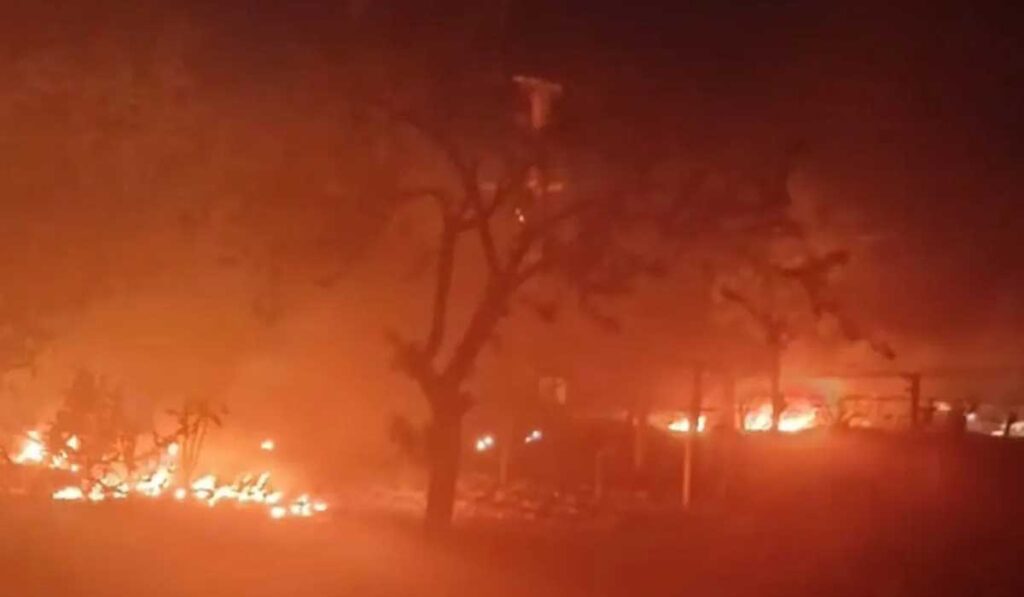 Denizli’de Çiftçiler Geceyi Tarlada Geçirdi...