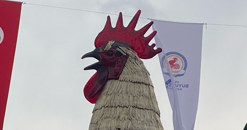 Denizli’de Dolu Hem Çiftçiyi Hem Horozu Vurdu...