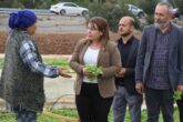 Gülizar Biçer Karaca Tütün Üreticileri İçin Seslendi...