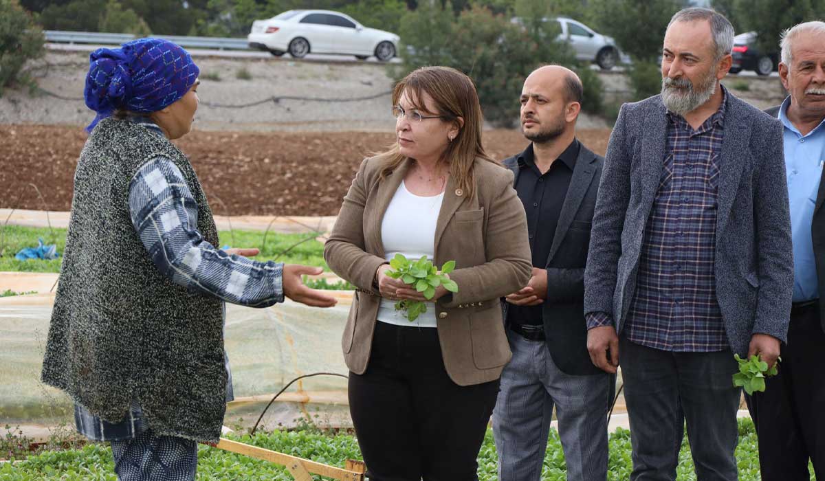 Gülizar Biçer Karaca Tütün Üreticileri İçin Seslendi… 