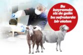 Denizli Büyükşehir Aşevi Kurban Bağışlarını Bekliyor...