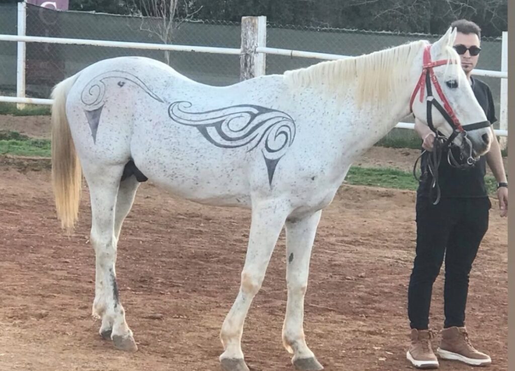Denizlili Kuaförün Tıraşı Görenleri Büyüledi...