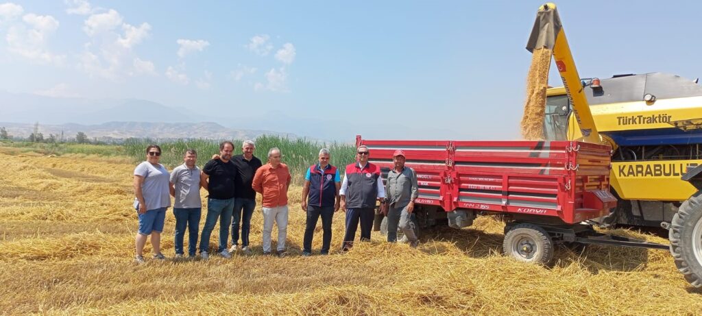 Denizli’de Sezonun İlk Buğdayı Biçildi... 