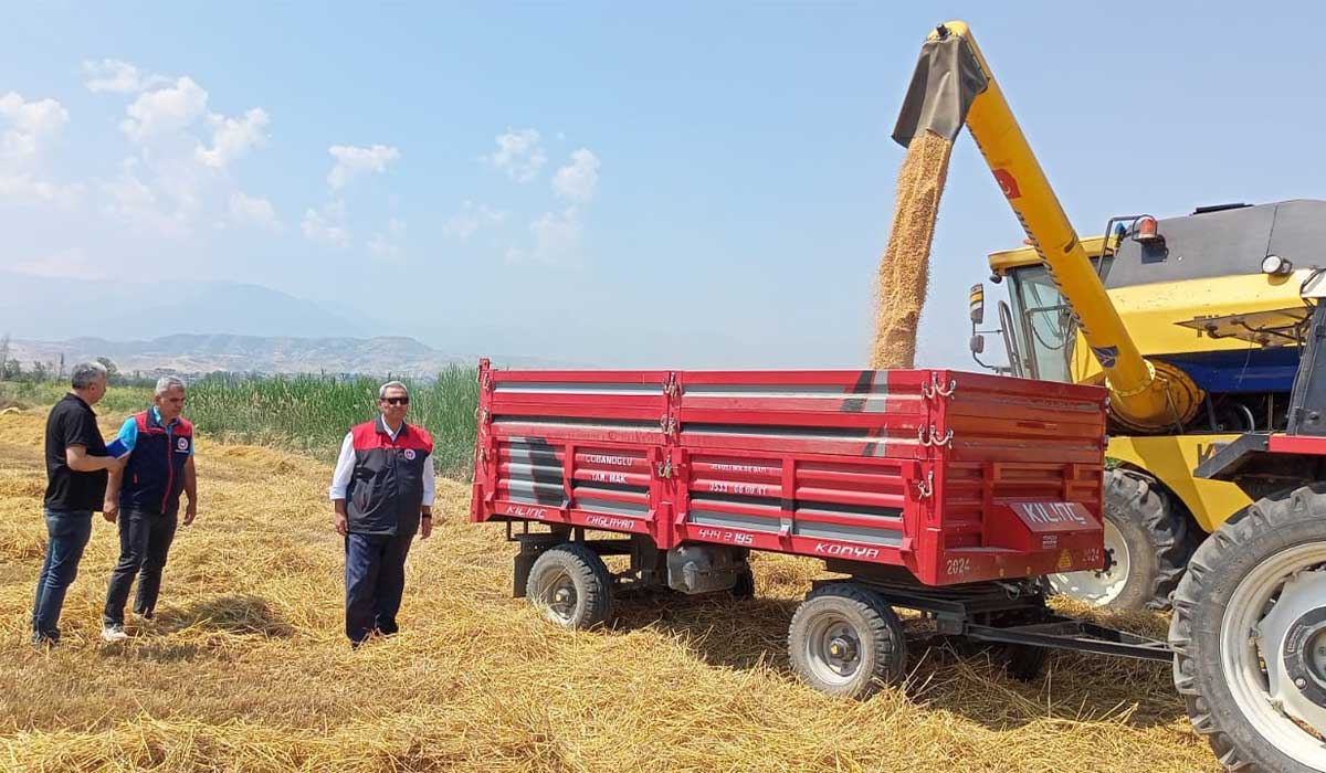 Denizli’de Sezonun İlk Buğdayı Biçildi… 