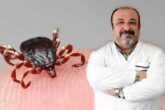 Kene Isırığı Can Alabilir Aman Dikkat...
