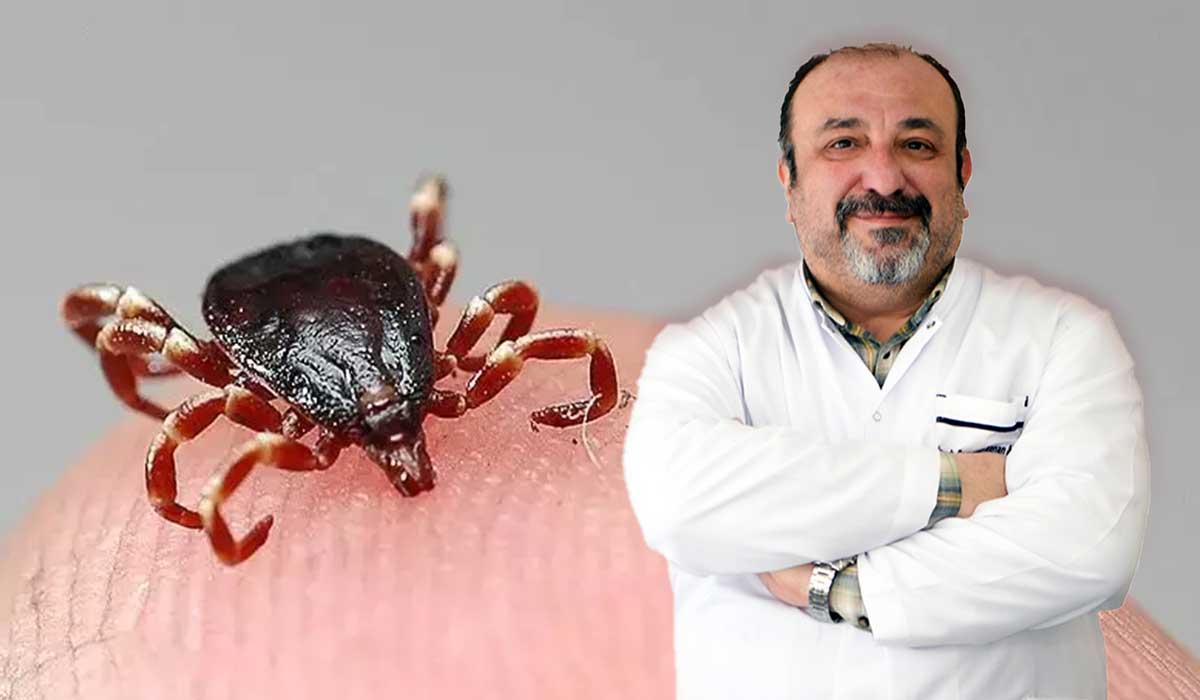 Kene Isırığı Can Alabilir Aman Dikkat… 