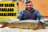 Denizlili Balıkçı Dev Sazanı Tarlada Yakaladı...