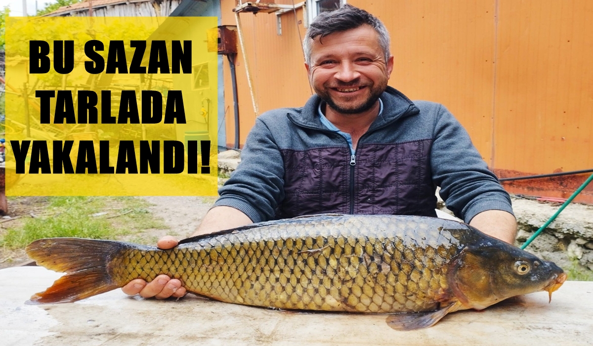 Denizlili Balıkçı Dev Sazanı Tarlada Yakaladı…